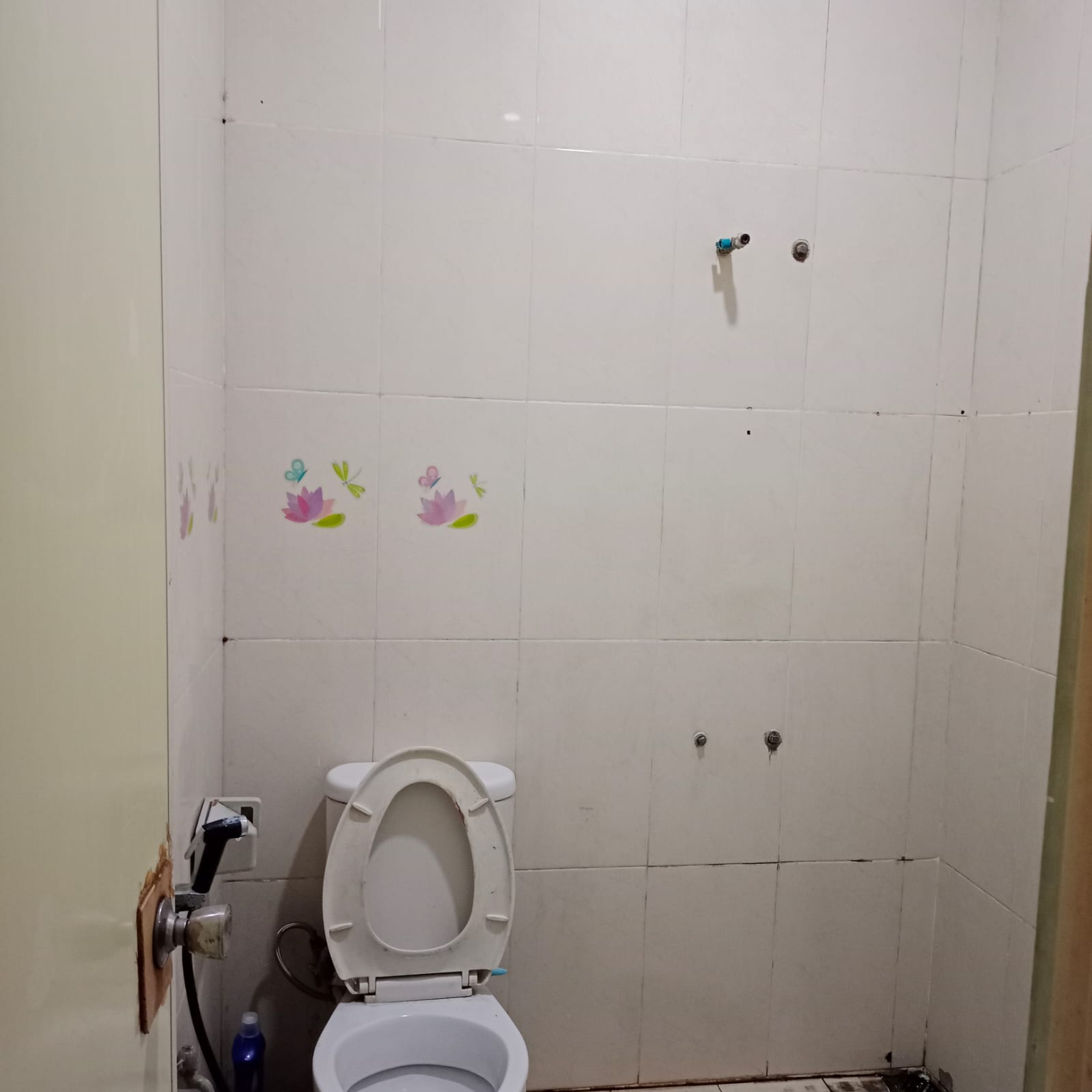 Rumah Dijual Siap Huni Baru Renov di Meadow Green Lippo Cikarang